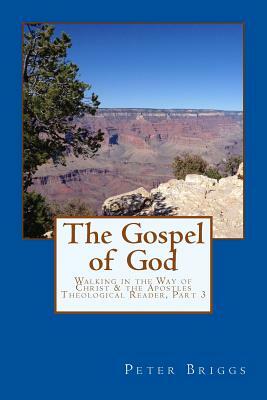 The Gospel of God: Walking in the Way of Christ & the Apostles Theological Reader, Part 3 by Peter Briggs