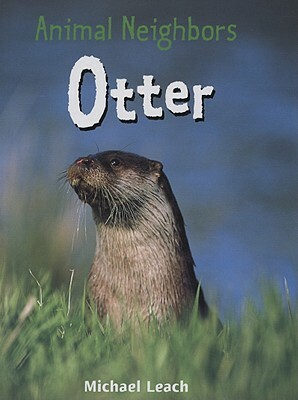 Otter by Michael Leach