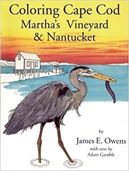 Coloring Cape Cod Martha's Vineyard & Nantucket by Adam Gamble, James E. Owens, James E. Owens
