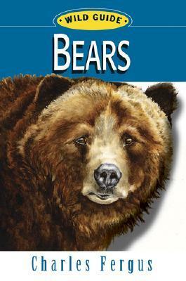 Bears by Charles Fergus