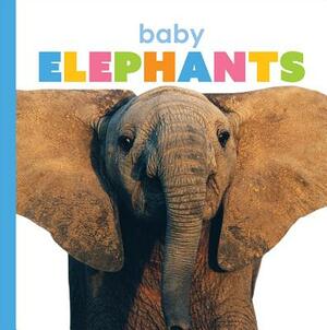 Baby Elephants by Kate Riggs