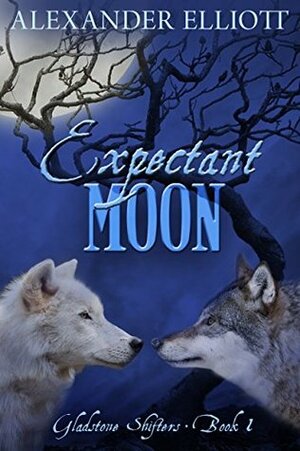 Expectant Moon by Alexander Elliott