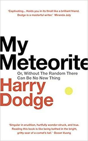 My Meteorite: Or, Without The Random There Can Be No New Thing by Harry Dodge