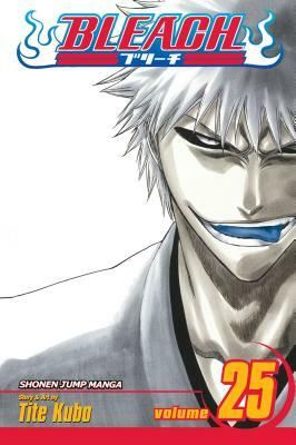 Bleach, Vol. 25: No Shaking Throne by Tite Kubo