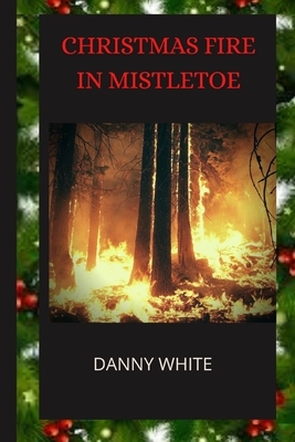 Christmas Fire In Mistletoe by Danny White