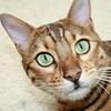 lovespend's profile picture