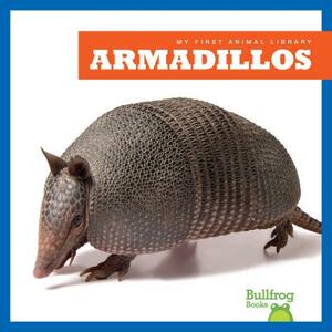 Armadillos by Cari Meister