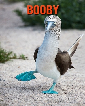 Booby: Learn About Booby and Enjoy Colorful Pictures by Diane Jackson