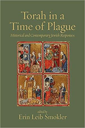 Torah in a Time of Plague: Historical and Contemporary Jewish Responses by Gordon Tucker, Arthur Green, Tamara Mann Tweel, Devorah Schoenfeld, Shaul Magid, Chaim Seidler-Feller, James Jacobson-Maisels, Michael Fishbane, Aviva Richman, Ethan J. Leib, Ayelet Hoffmann Libson, Ilana Kurshan, Zohar Atkins, Rachel Sabath Beit-Halachmi, Erin Leib Smokler, Jon A. Levisohn, David Zvi Kalman, Joshua Teplitsky, Deena Aranoff, Yitz Landes, Ariel Evan Mayse, Sara Labaton