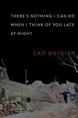 There's Nothing I Can Do When I Think of You Late at Night by John Balcom, Naiqian Cao