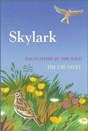 Skylark by Jim Crumley