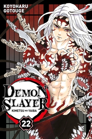 Demon Slayer, Tome 22 by Koyoharu Gotouge