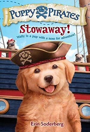 Stowaway! by Erin Soderberg Downing, Erin Soderberg Downing