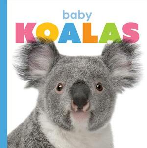 Baby Koalas by Kate Riggs