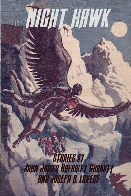 Night Hawk by Joseph a. Lovece, John James Beardley Garbutt