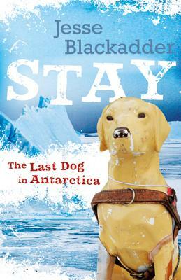 Stay: The Last Dog in Antarctica by Jesse Blackadder