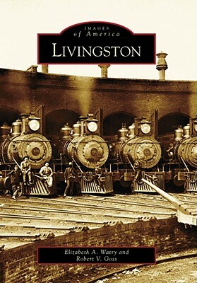 Livingston by Elizabeth A. Watry, Robert V. Goss