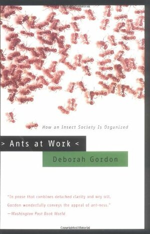 Ants at Work: How an Insect Society is Organized by Deborah M. Gordon