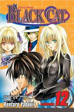 Black Cat, Volume 12 by Kentaro Yabuki