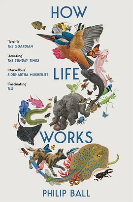 How Life Works: A User's Guide to the New Biology by Philip Ball