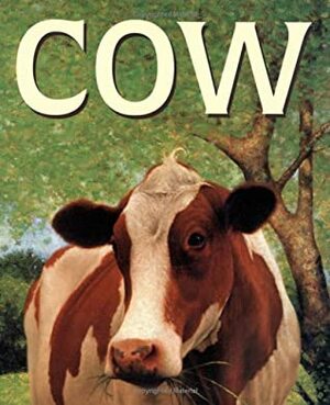 Cow by Angelo Rinaldi, Malachy Doyle