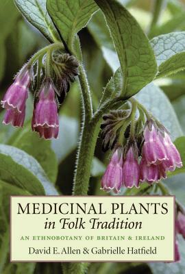 Medicinal Plants in Folk Tradition: An Ethnobotany of Britain & Ireland by Gabrielle Hatfield, David Allen