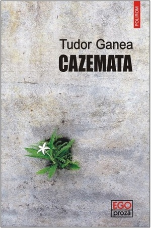 Cazemata by Tudor Ganea