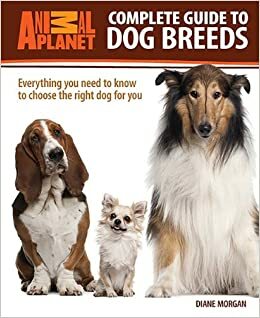 Animal Planet Complete Guide to Dog Breeds: Everything You Need to Know to Choose the Right Dog for You by Diane Morgan