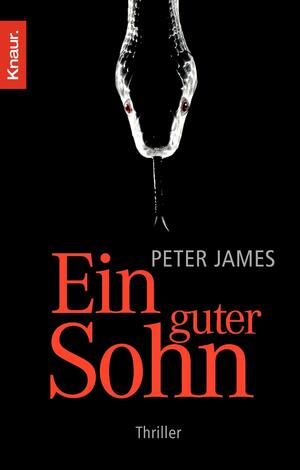 Ein guter Sohn by Peter James