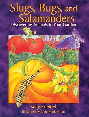 Slugs, Bugs, and Salamanders by Sally Kneidel, Anna-Maria Crum