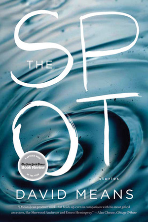 The Spot: Stories by David Means