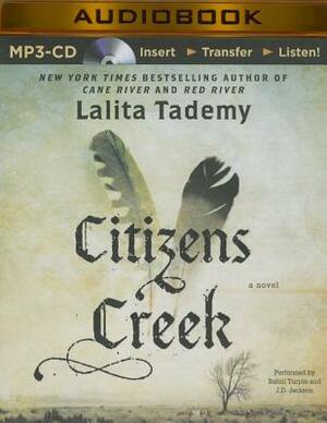 Citizens Creek by Lalita Tademy