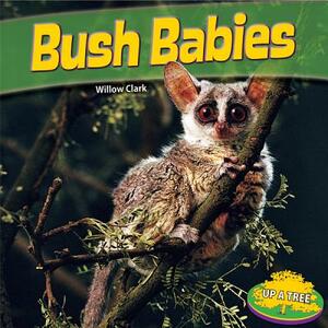 Bush Babies by Willow Clark