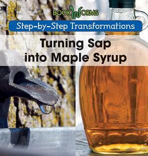 Turning SAP Into Maple Syrup by Amy Hayes