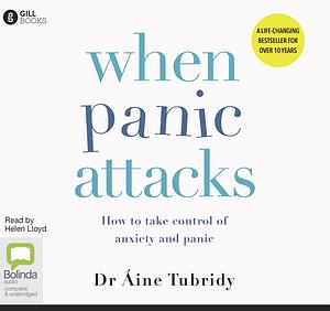 When Panic Attacks How to take control of anxiety and panic by Áine Tubridy