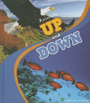 Animals Up and Down by Beth Bence Reinke