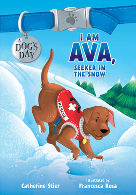 I Am Ava, Seeker in the Snow by Catherine Stier
