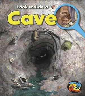 Cave: Look Inside by Richard Spilsbury