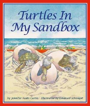 Turtles in My Sandbox by Jennifer Keats Curtis