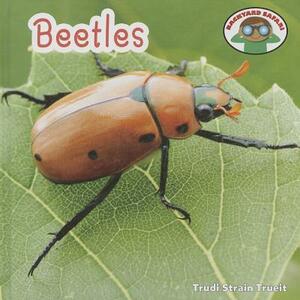 Beetles by Trudi Strain Trueit