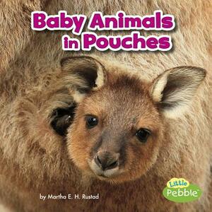 Baby Animals in Pouches by Martha E.H. Rustad