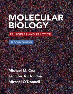 Molecular Biology: Principles and Practice by Jennifer A. Doudna, Michael O'Donnell, Michael Cox