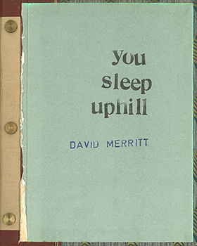 You Sleep Uphill by David Merritt