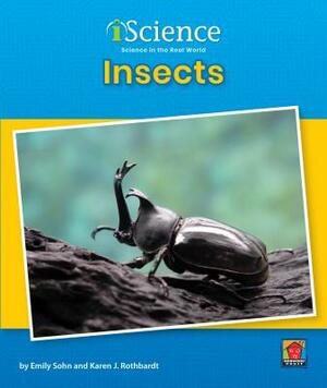 Insects by Karen J. Rothbardt, Emily Sohn