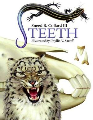 Teeth by Sneed B. Collard III