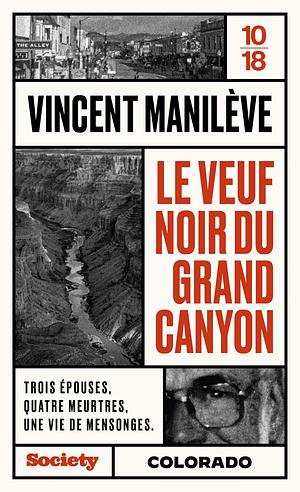 Le veuf noir du Grand Canyon by Vincent Manilève