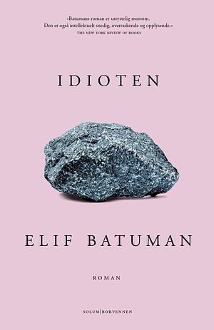 Idioten by Elif Batuman