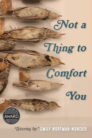 Not a Thing to Comfort You by Emily Wortman-Wunder