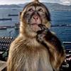 scottyfionnghall's profile picture