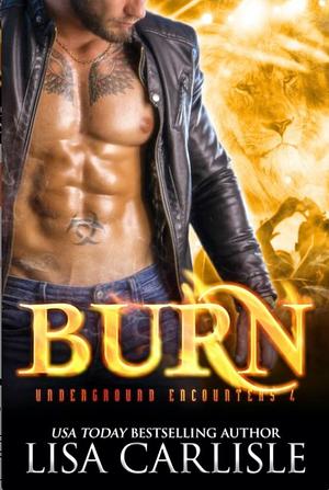 Burn by Lisa Carlisle